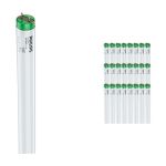 Mehrfachpackung 25x Philips MASTER TL-D Actinic BL 15W - Ultraviolett | 44cm
