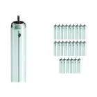 Mehrfachpackung 25x Philips TL - X XL 40W - 640 Kaltweiß | 120cm