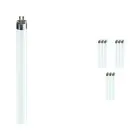 Mehrfachpackung 10x Philips TL5 HE 14W 865 (MASTER) | 55cm - Tageslichtweiß